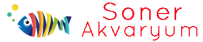 Soner Akvaryum
