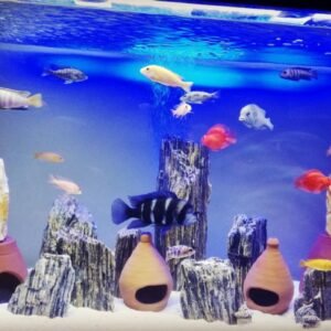 Karışık Ciklet 3-6/7-7/8-10/12